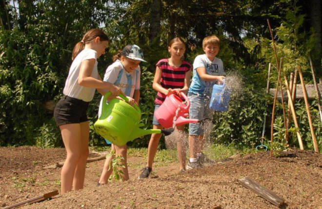 Der Schulgarten des Bildungszentrums Bonndorf ist eine Spielwiese für verschiedene Fächer